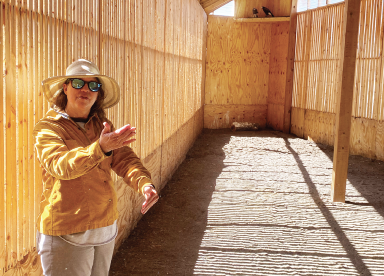 Lori Paras, Santa Fe bird whisperer, demonstrates how to call a haw while in an outdoor wooden structure